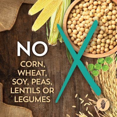 Image showing 6 th Wholesomes Large Breed Adult Sensitive Skin and Stomach Salmon Recipe Dry Dog Food, 30 lb. Bag