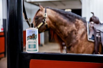 Image showing  Horse Liniment Gel, 15 oz.