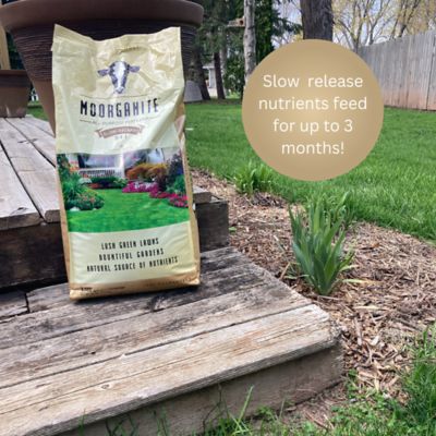 Image showing  25 lb. 2,500 sq. ft. Moorganite All-Purpose Fertilizer