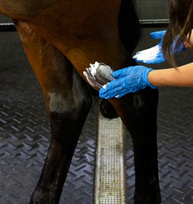Image showing  16 oz. Horse Wound and Skin Ointment