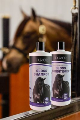 Image showing  Equine Conditioner, 32 oz.