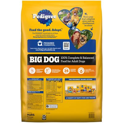 Image showing  Big Dog Adult Roasted Chicken, Rice and Vegetable Recipe Dry Dog Food, 40 lb. Bag