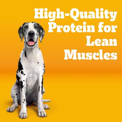 Image showing  Big Dog Adult Roasted Chicken, Rice and Vegetable Recipe Dry Dog Food, 40 lb. Bag