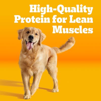 Image showing  Adult High-Protein Beef and Lamb Recipe Dry Dog Food