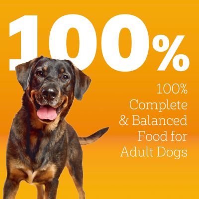 Image showing  Adult High-Protein Beef and Lamb Recipe Dry Dog Food