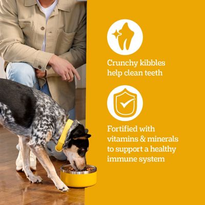 Image showing 6 th Pedigree Complete Nutrition Adult Grilled Steak and Vegetable Flavor Dry Dog Food