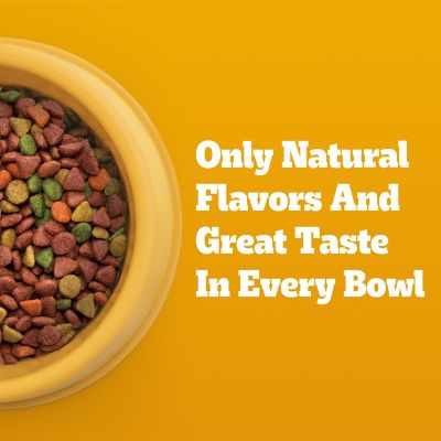 Image showing 7 th Pedigree Small Breed Adult Complete Nutrition Grilled Steak and Vegetable Recipe Dry Dog Food