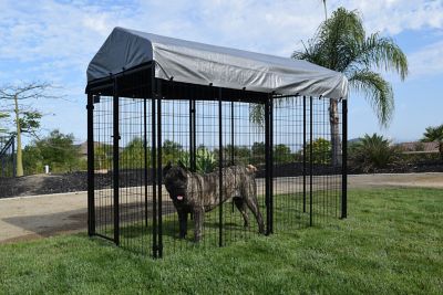 Rugged Ranch 6 ft. x 8 ft. x 4 ft. Tucson Welded Wire Dog Kennel