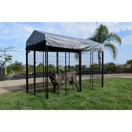 Tucson Rugged Ranch 6' x 8' x 4' Welded Wire Dog House Dog Kennels