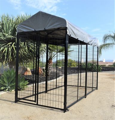 Image showing  6 ft. x 8 ft. x 4 ft. Welded Wire Tucson Dog Kennel