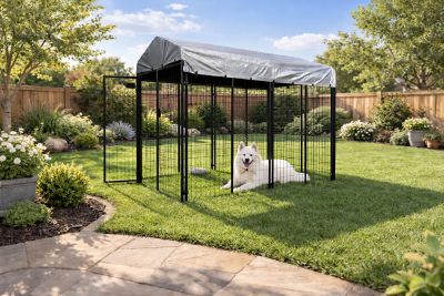 Image showing  6 x 8 x 4ft. Welded Wire Tucson Dog Kennel