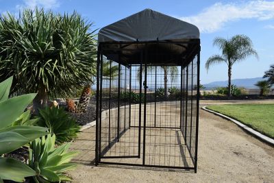 Image showing 5 th Rugged Ranch 6 x 8 x 4ft. Welded Wire Tucson Dog Kennel