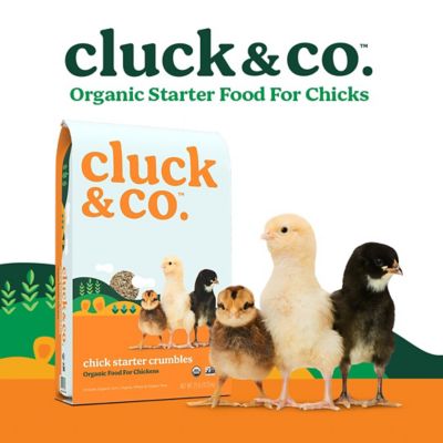 Image showing  Organic Chick Starter Crumbles Feed