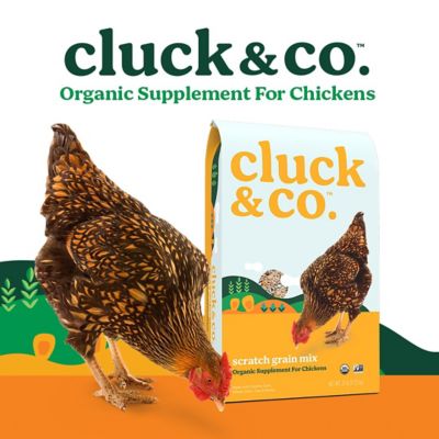 Image showing  Organic Scratch Grain Mix Chicken Treats