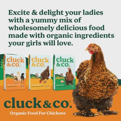 Image showing  Organic Scratch Grain Mix Chicken Treats