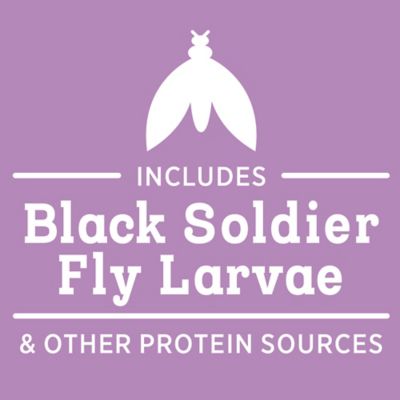 Image showing  Farm to Flock Protein Block Treat for Chickens & Turkeys, 20 lb