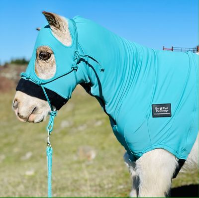 Image showing  Lycra Miniature Horse Hood