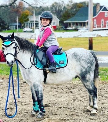 Image showing  All-Purpose English Saddle Pad, Mini-Pony, Teal Sparkle