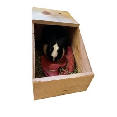 Image showing  Rabbit Nesting Box, Small