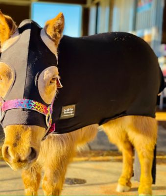 Image showing  Miniature Horse-Pony Lycra Body Suit