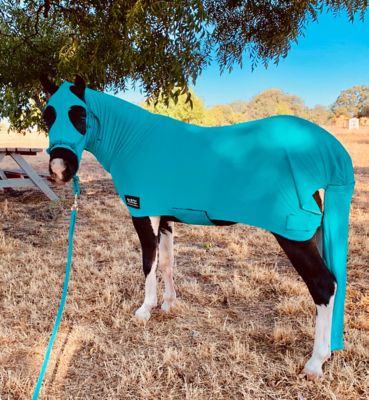 Image showing  Miniature Horse-Pony Lycra Body Suit