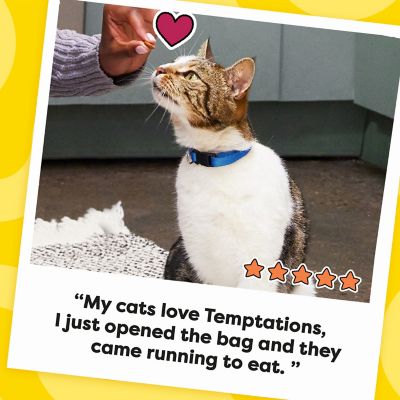 Image showing 7 th Temptations Classic Chicken Flavor Crunchy and Soft Cat Treats, 48 oz.