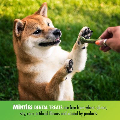Image showing  Dental Dog Treats for Medium/Large Dogs 40+ lb.