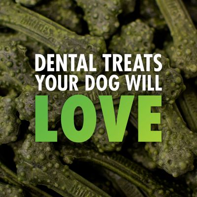 Image showing  Dental Dog Treats for Medium/Large Dogs 40+ lb.