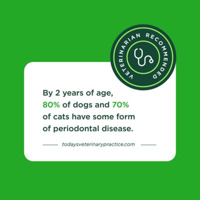 Image showing 7 th Minties Dental Dog Treats for Medium/Large Dogs 40+ lb.