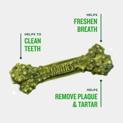 Image showing 8 th Minties Dental Dog Treats for Medium/Large Dogs 40+ lb.