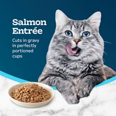 Image showing  Savory Singles Salmon Cuts in Gravy Wet Cat Food, 1.3 oz.