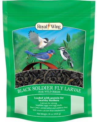 Royal Wing Black Fly Larvae for Wild Birds, 16 oz.