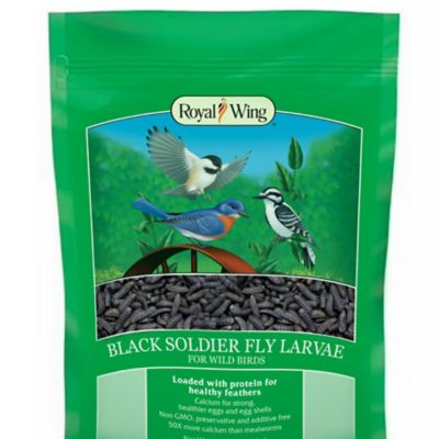 Royal Wing Black Fly Larvae for Wild Birds, 16 oz.