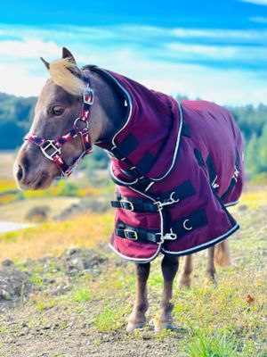 Image showing  1200D Waterproof Hooded Horse Blanket, Mediumweight, 220g