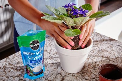 Image showing 6 th Miracle-Gro 12 oz. Water Storing Plant Mix Crystals