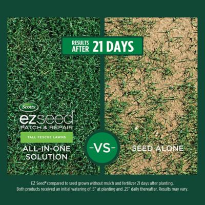 Image showing  EZ Seed Patch & Repair Tall Fescue Lawns, 40 lb., 17480