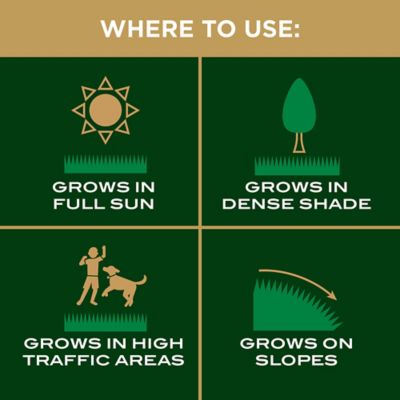 Image showing 6 th Scotts 40 lb. EZ Seed Patch and Repair Sun and Shade Fertilizer