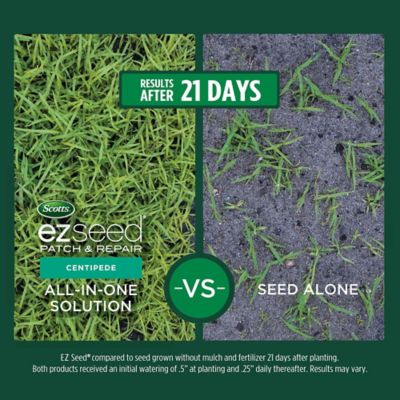 Image showing  20 lb. 445 sq. ft. EZ Seed Patch and Repair Centipede Grass Seed