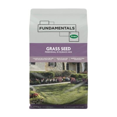 Scotts Fundamentals Grass Seed Perennial Ryegrass Mix, 3 lbs.