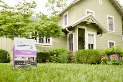 Image showing  Fundamentals Grass Seed Perennial Ryegrass Mix, 3 lbs.