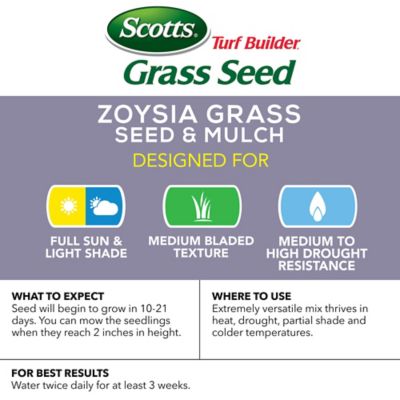 Image showing  Turf Builder Grass Seed Zoysia Grass Seed & Mulch, 5 lb.