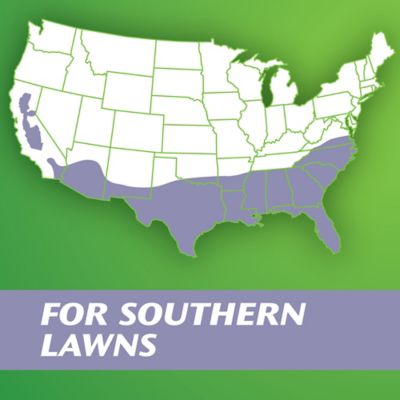 Image showing  Turf Builder Grass Seed Zoysia Grass Seed & Mulch, 5 lb.