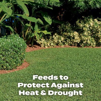 Image showing  Turf Builder Southern Lawn FoodFL - Florida Fertilizer 14.06 lb.