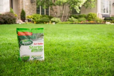 Image showing 7 th Scotts 3 lb. 1,000 sq. ft. Turf Builder Starter Food for New Grass