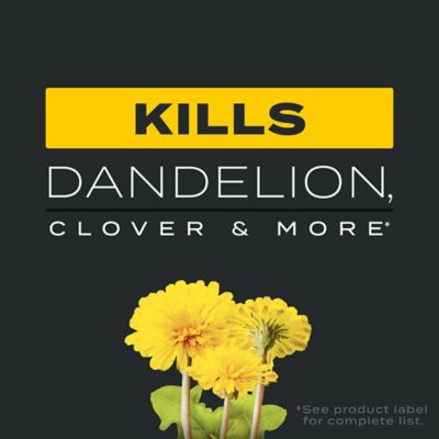 Image showing  11.31 lb. 4,000 sq. ft. Turf Builder Triple Action1 Fertilizer