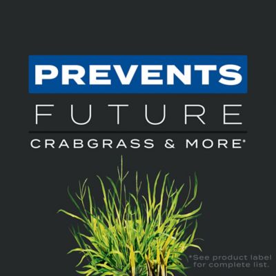 Image showing  11.31 lb. 4,000 sq. ft. Turf Builder Triple Action1 Fertilizer