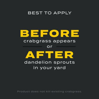 Image showing 6 th Scotts 11.31 lb. 4,000 sq. ft. Turf Builder Triple Action1 Fertilizer