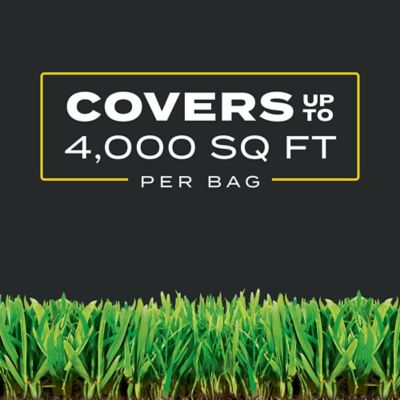 Image showing 8 th Scotts 11.31 lb. 4,000 sq. ft. Turf Builder Triple Action1 Fertilizer