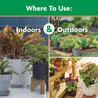 Image showing  8 oz. 180 sq. ft. Water Soluble All-Purpose Plant Food