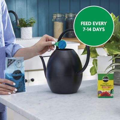 Image showing 8 th Miracle-Gro 8 oz. 180 sq. ft. Water Soluble All-Purpose Plant Food